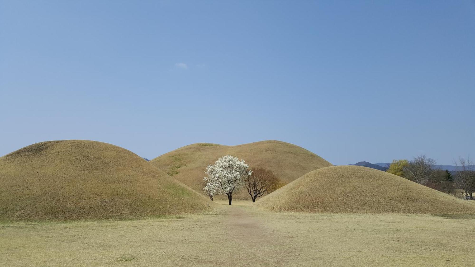 Trip to Gyeongju Hotel Ngoại thất bức ảnh